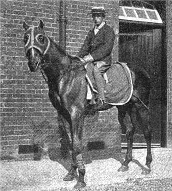 How Suffragette Emily Davison Sacrificed Herself For Women's Rights