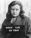She Loved Taunting Prisoners Who Were About To Be Tortured Or Killed on Random Female Concentration Camp Guard So Depraved Even The Nazis Arrested Her