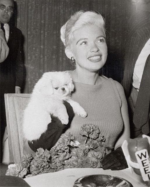 Taxidermied Celebrity Pets
