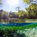 Cypress Springs - Vernon, Florida on Random Secret Natural Swimming Holes To Add To Your Travel List