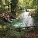 Madison Blue Spring - Lee, Florida on Random Secret Natural Swimming Holes To Add To Your Travel List