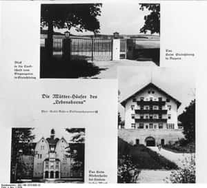 Women Were Selected To Partici... is listed (or ranked) 4 on the list The Children Of Hitler's "Master Race" Experiment Are Still Alive, And Here's What They Look Like