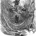 The Dismal Swamp Maroon Community Started In 1680 And Was Dominated By Escaped African American Slaves on Random Facts Of Escaped Slaves Who Abandoned Society To Live In A Swamp
