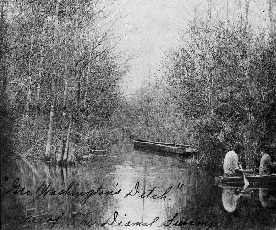 The History of the Great Dismal Swamp and the Slaves Who Lived There