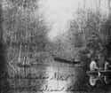 People Also Lived On The Outer Edges And Canal Areas Of The Swamp on Random Facts Of Escaped Slaves Who Abandoned Society To Live In A Swamp
