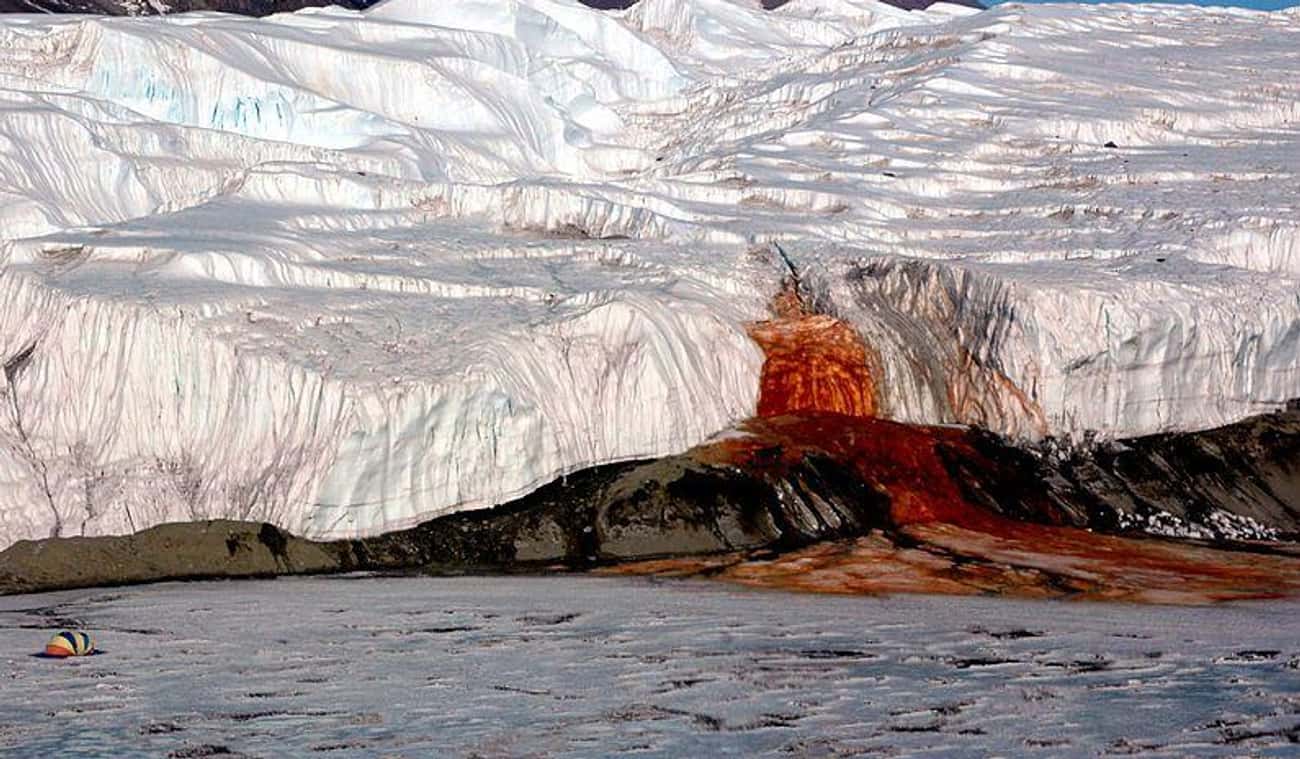 A Glacier Gushes A Living, Blood-Like Substance