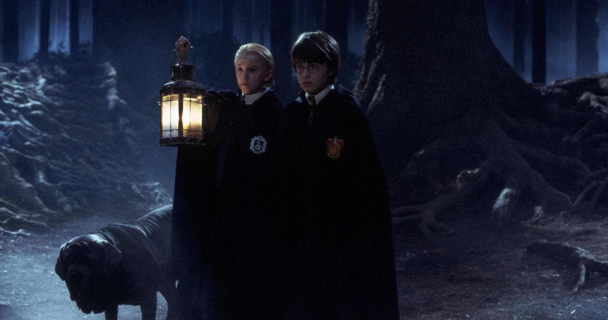 The Centaurs Knew How Harry Would Die In the Forbidden Forest