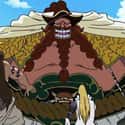 Brownbeard on Random Best Anime Centaur Characters