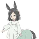Shino on Random Best Anime Centaur Characters