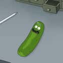 Pickle Rick on Random Top Quotes From 'Rick and Morty' That You Can't Miss