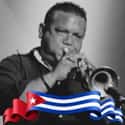 Kiwzo Fumero on Random Best Trumpeters in World