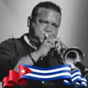 Kiwzo Fumero on Random Best Trumpeters in World