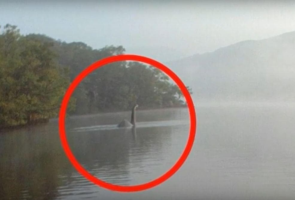 Снежный человек существует. Бернард шоу цитаты. Фото слендермена в реальной жизни. Существуют ли монстры в реальной жизни. Оно бывает или нет.