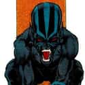 Goblyn is listed (or ranked) 33 on the list The Full List of Alpha Flight Members
