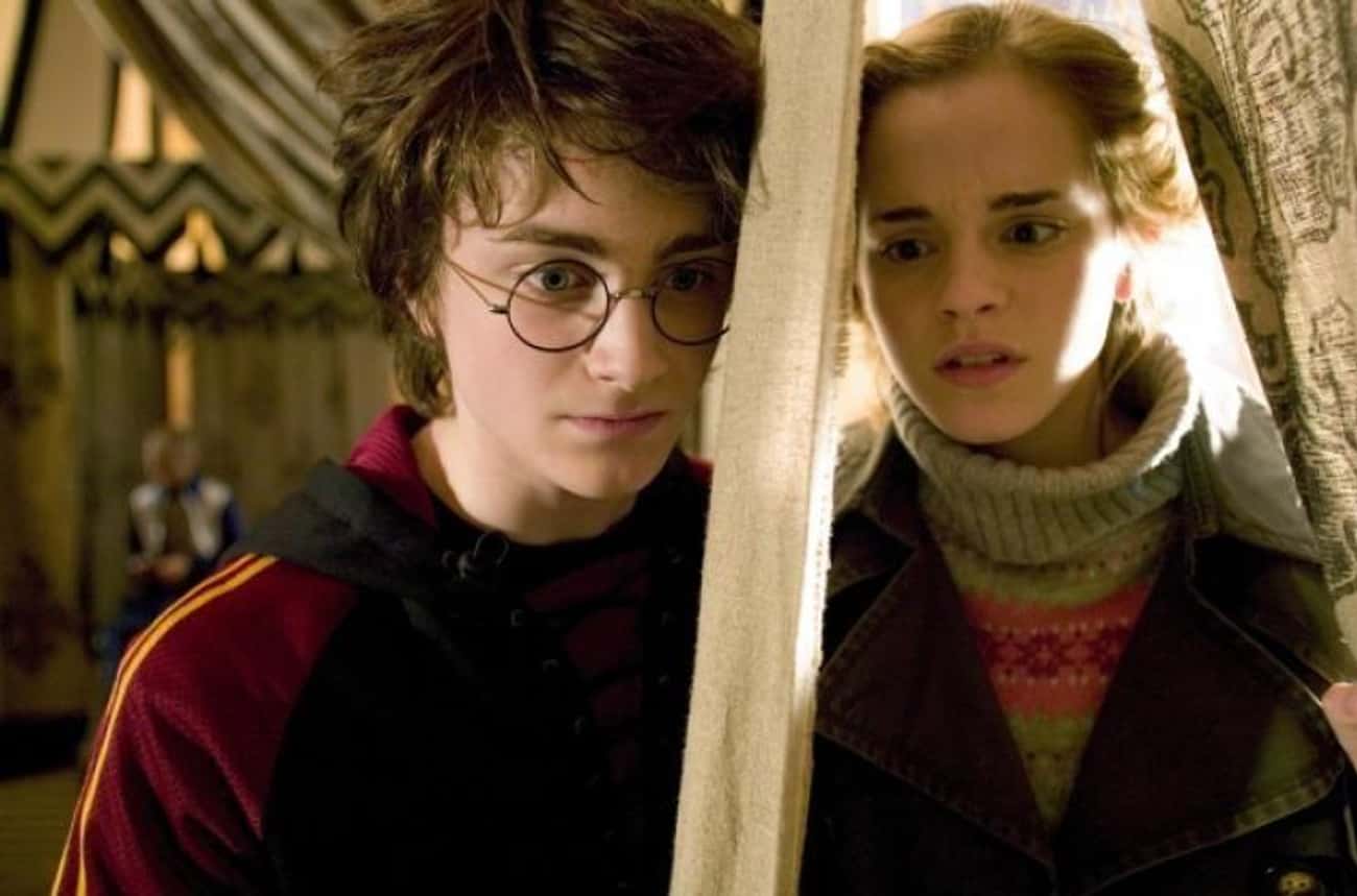 Harry And Hermione Have Both Faced Wizarding World Discrimination