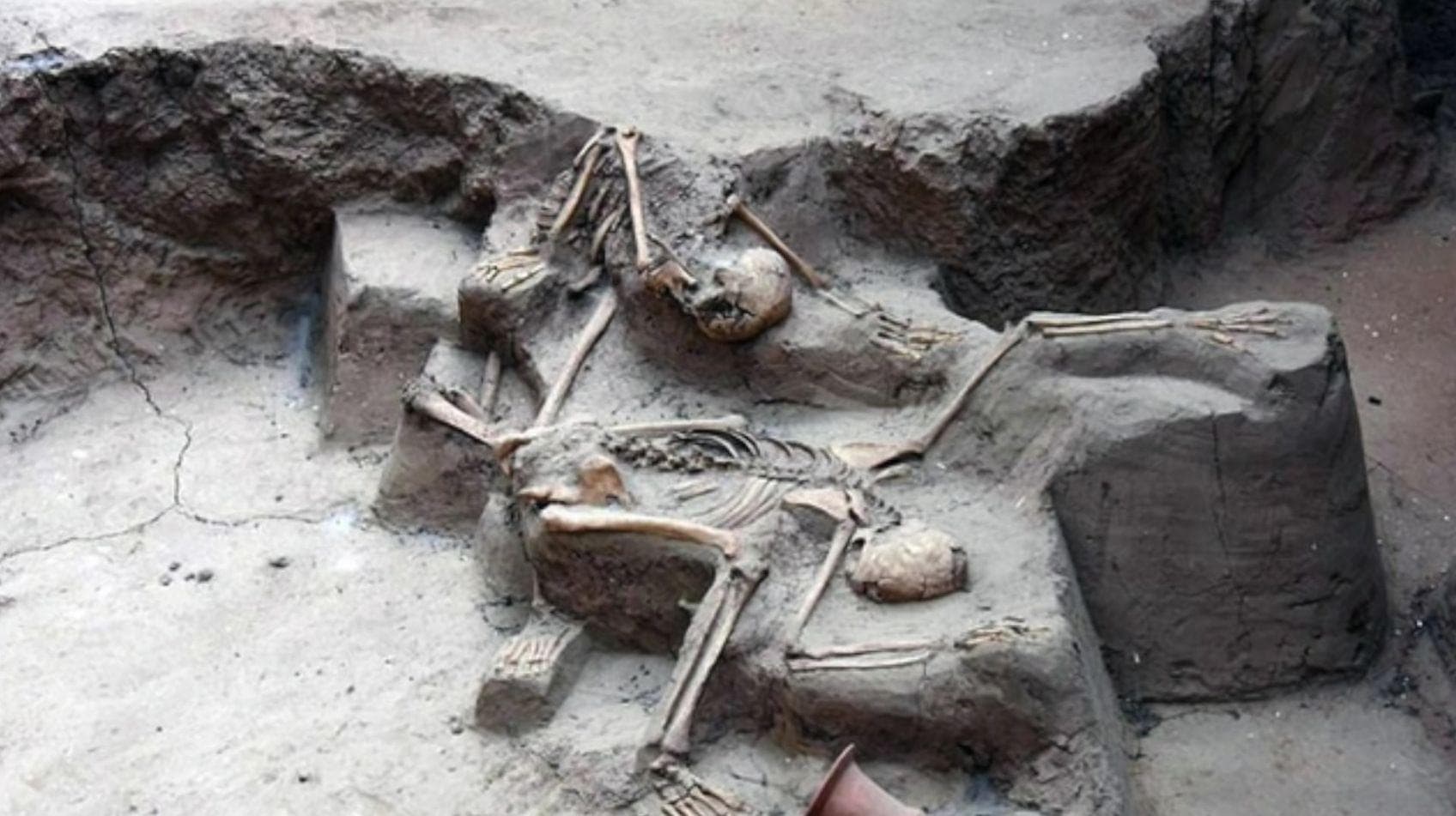 Раскопки умершего. Раскопки умершего. Раскопки братских могил. Раскопки умершего. Раскопки умершего.