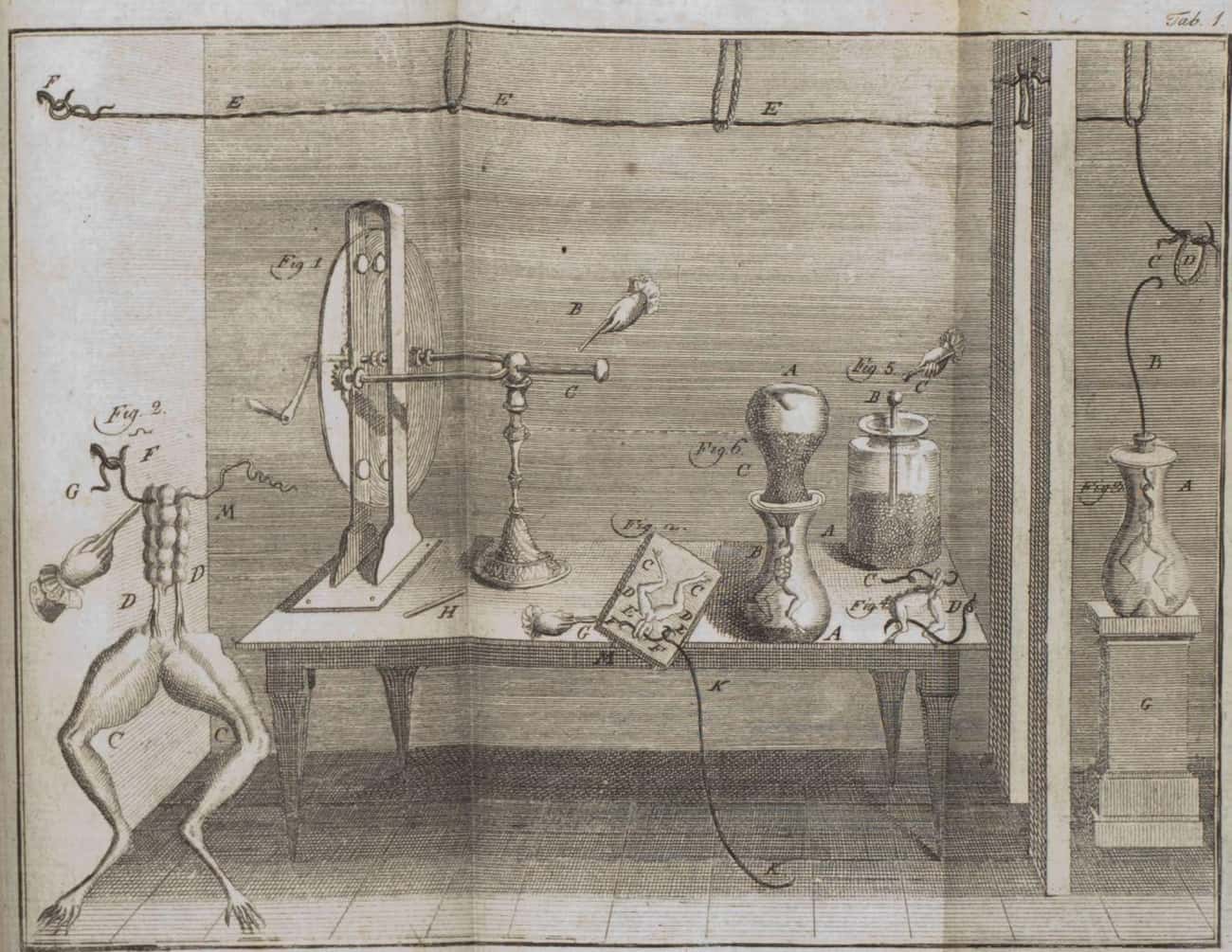 At First, Scientists Practiced Galvanism On Animals, Including Frogs And Kittens