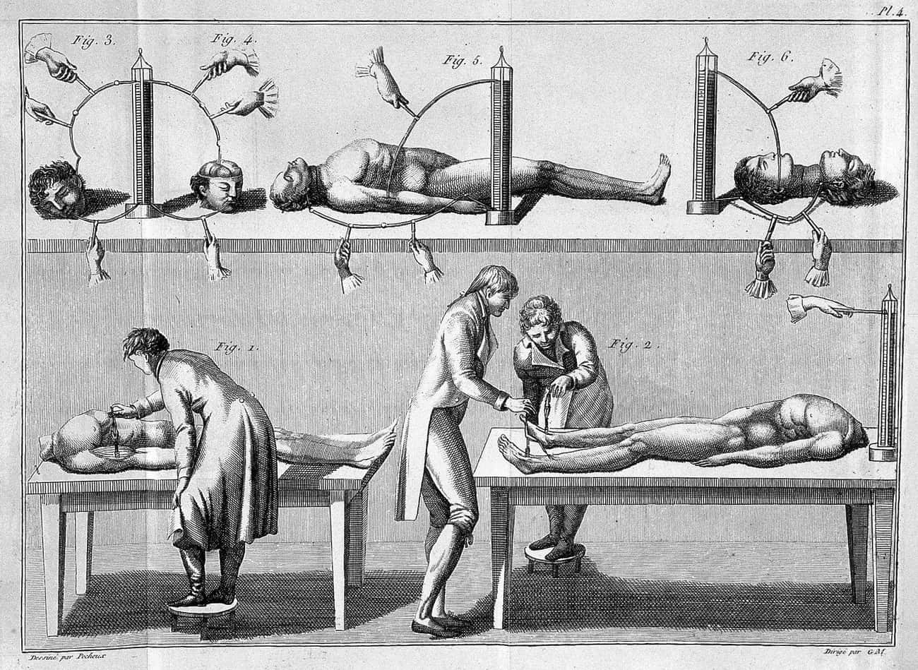 The &#34;Murder Act&#34; Provided Human Specimens To Scientists