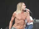 His Tour Rider From 2006 Lists Industrial Fans So He Can 'Wear A Scarf And Pretend To Be In A Bon Jovi Video' on Random Bloody and Vomit-Filled Behind-The-Scenes Stories Of Iggy Pop, The Godfather Of Punk