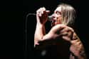 A Residency At Ungano's In New York City Saw Iggy Vomiting On The Audience  on Random Bloody and Vomit-Filled Behind-The-Scenes Stories Of Iggy Pop, The Godfather Of Punk