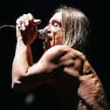 A Residency At Ungano's In New York City Saw Iggy Vomiting On The Audience  on Random Bloody and Vomit-Filled Behind-The-Scenes Stories Of Iggy Pop, The Godfather Of Punk