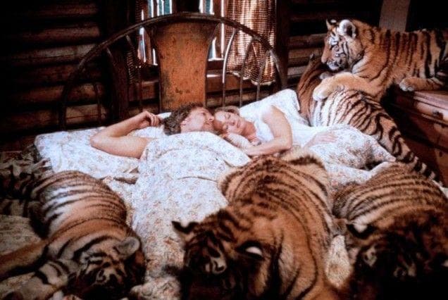 The Insane Story Behind Roar, The Most Dangerous Movie Ever Made
