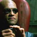 Morpheus Is A Villain Working With The Machines Against Humanity on Random Matrix Fan Theories That Will Have You Saying 'Whoa'