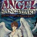 Angel Sanctuary on Random  Best Anime About Reincarnation