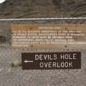 It's A Valuable Research Site For Climate Change on Random Craziest, Most Mind-Blowing Things About Devils Hole