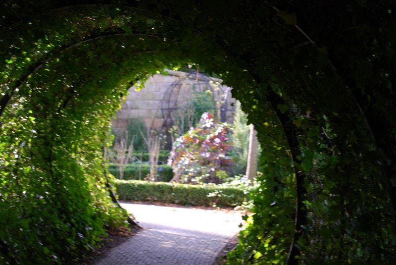 Inside The Deadliest Garden In The World, Where Even Breathing Can Kill
