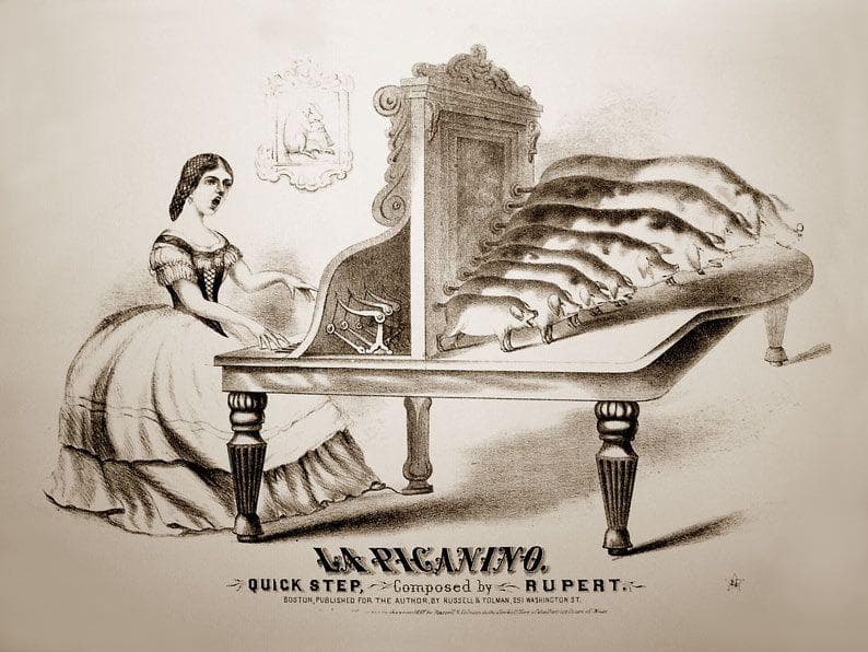 Katzenklavier cat piano hotsell