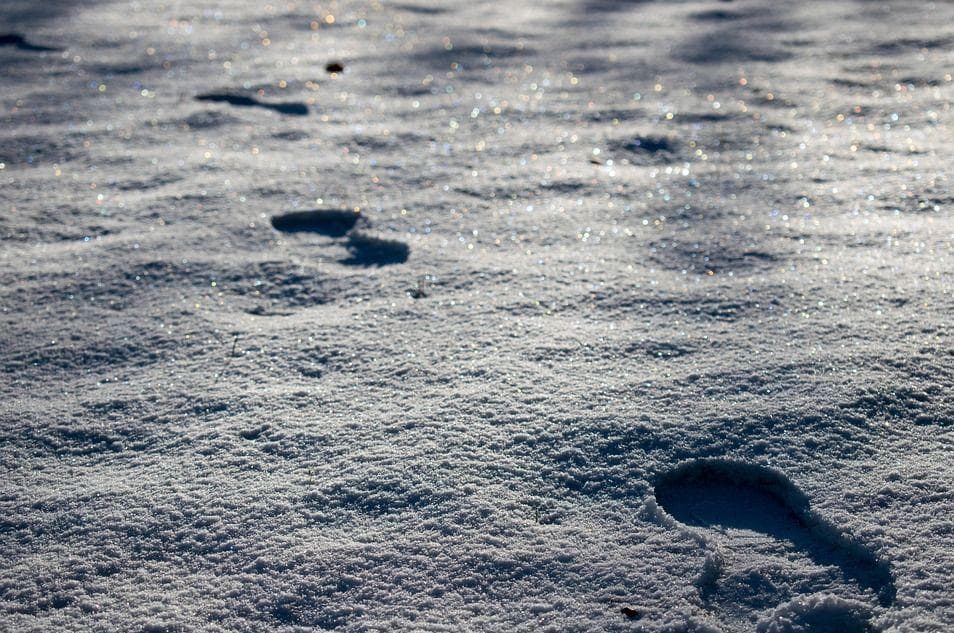 The Scene At The Cemetery Made No Empirical Sense