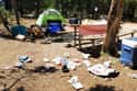 Tourists Leave Their Trash On Trails And In Campsites on Random Things Reveal Tourists Are Swarming National Parks And Destroying Them