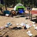 Tourists Leave Their Trash On Trails And In Campsites on Random Things Reveal Tourists Are Swarming National Parks And Destroying Them