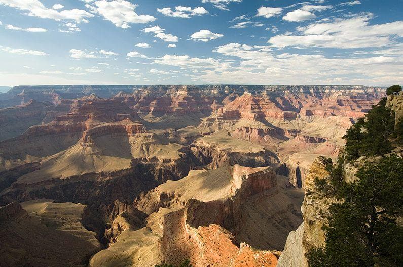Image of Random Things Reveal Tourists Are Swarming National Parks And Destroying Them