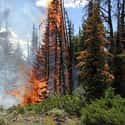 They Start Fires Which Can End Up Destroying Millions Of Acres on Random Things Reveal Tourists Are Swarming National Parks And Destroying Them