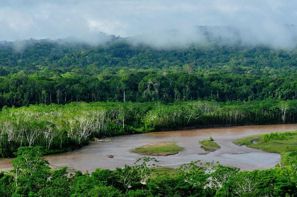 The Deadly Madidi National Park