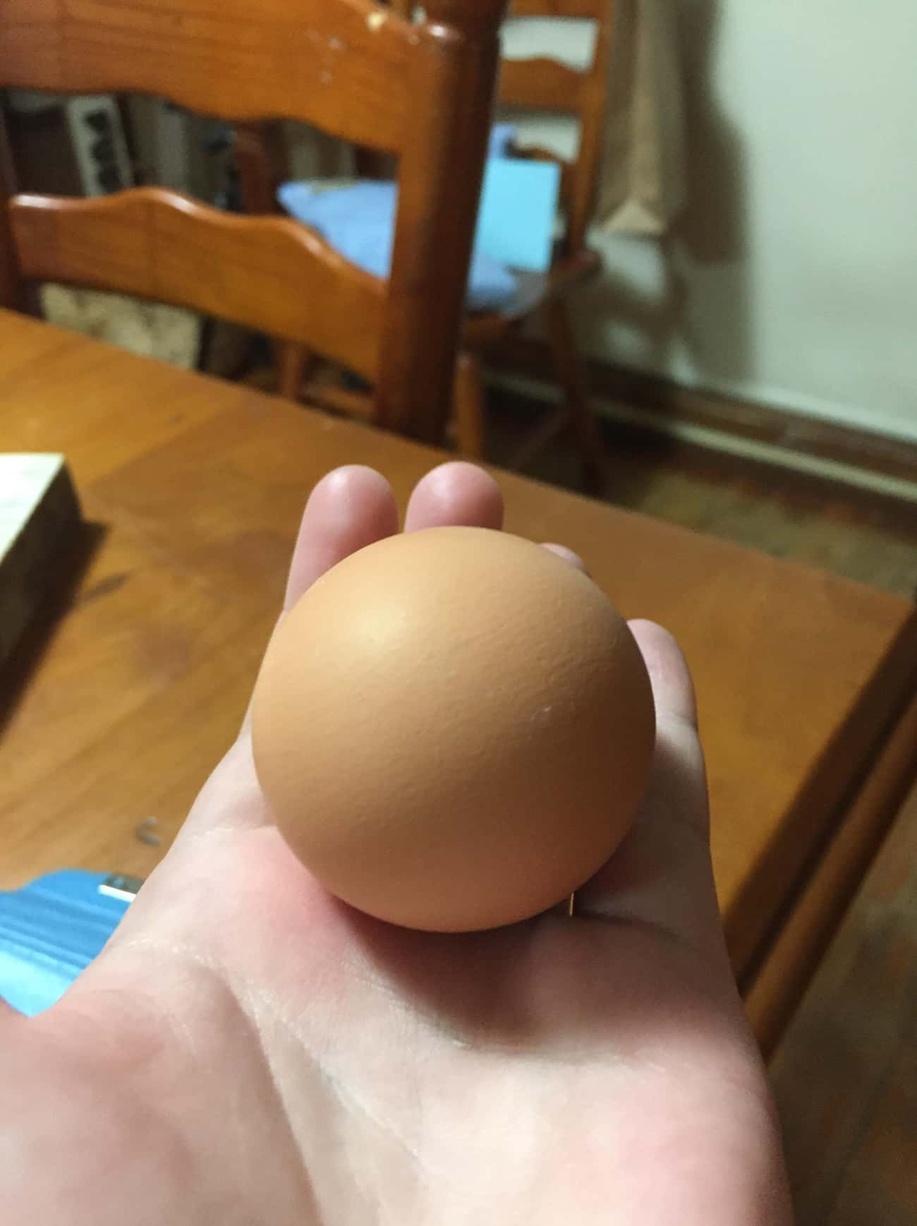 That&#39;s Not a Golf Ball, It&#39;s A Round Chicken Egg