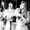 They Were Backed By A Young Iggy Pop on Random Wild Stories About Shangri-Las, High School Girls Who Inspired Punk