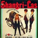 Mary Weiss Fired Back When Trump Used The Shangri-Las' Music On The Campaign Trail on Random Wild Stories About Shangri-Las, High School Girls Who Inspired Punk