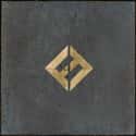 Concrete and Gold on Random Best Foo Fighters Albums