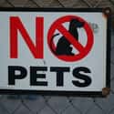 They Have Campaigned Against The Idea Of 'Pets' on Random Unethical Behaviors of PETA Has Been Criticized