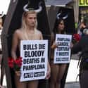 They Have Repeatedly Objectified Women To Get Attention on Random Unethical Behaviors of PETA Has Been Criticized
