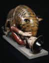 Tipu's Tiger, Life-Sized Wooden Mechanical Organ From 1793 on Random Super Weird And Interesting Historical Artifacts That Will Mesmerize You