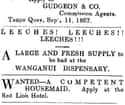 19th-Century Ad For Medical Leeches on Random Super Weird And Interesting Historical Artifacts That Will Mesmerize You
