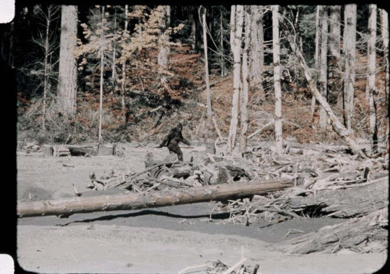 Patterson And Gimlin Were Already Creating A Docudrama About Bigfoot