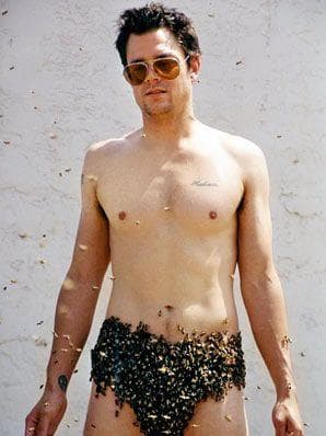 all-the-members-of-jackass-where-are-they-now