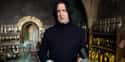 Snapes Affinity For Potions Is Further Proof on Random Things Turn Out Professor Snape Is Transgender
