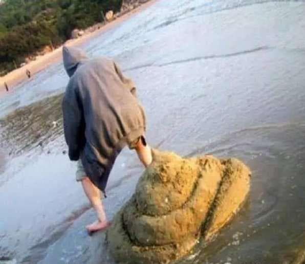 Does A Bear Sh*t In The Woods?