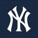 A True Yankee Podcast on Random Best MLB Baseball Podcasts